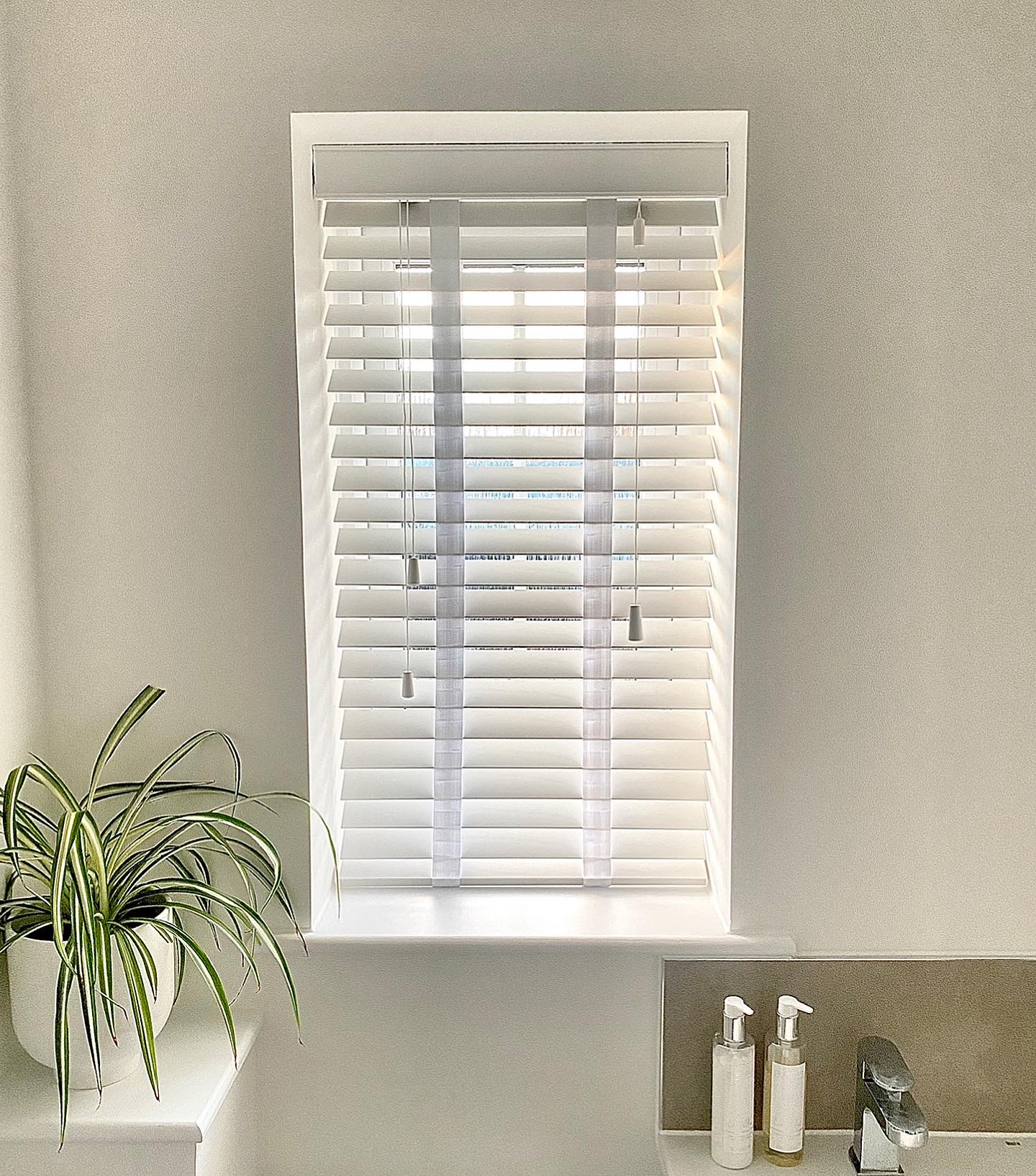 Day and night blinds